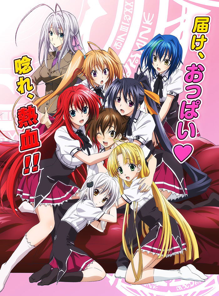high_school_dxd_4th_cover